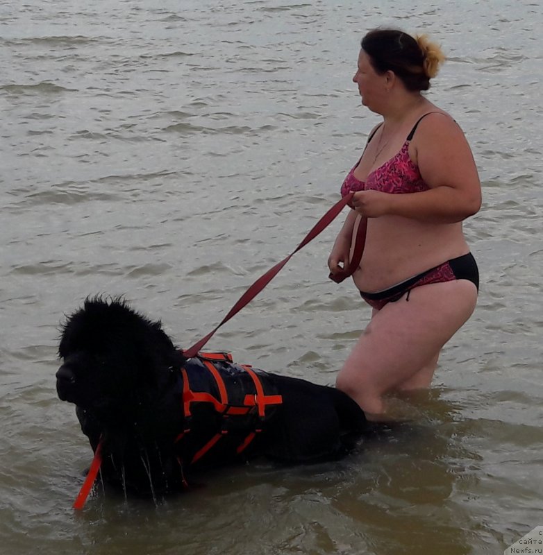 Фотография № 229434