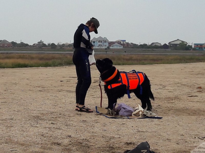 Фотография № 229435