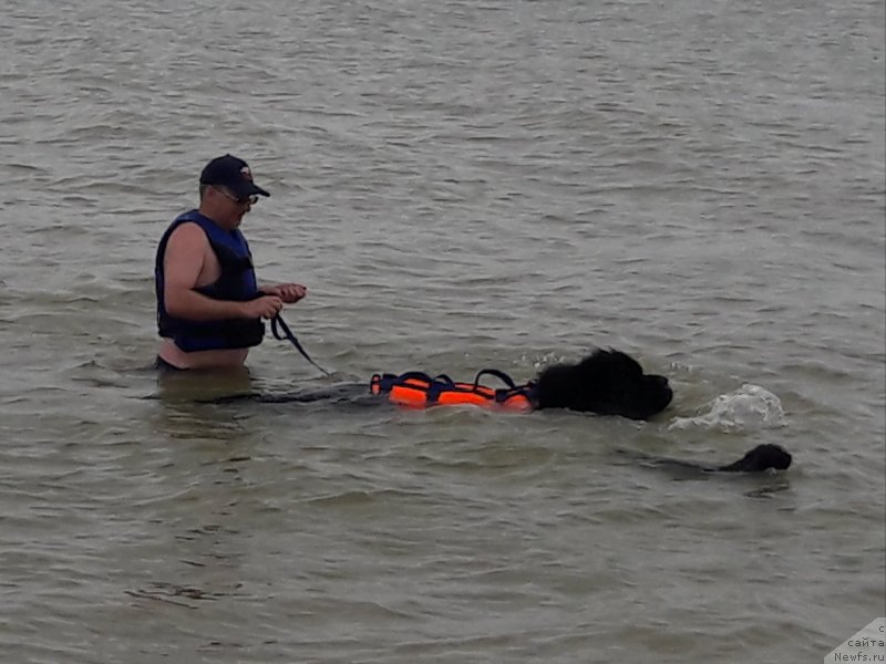 Фотография № 229437