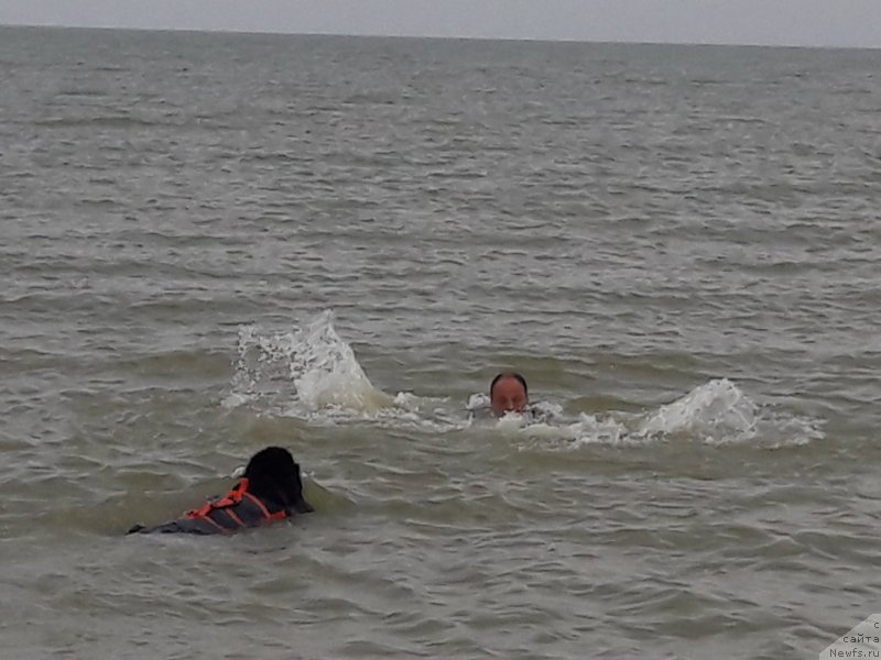 Фотография № 229439