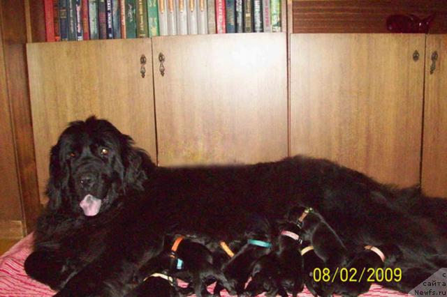 Фото: дети [d7424]и [d8087]