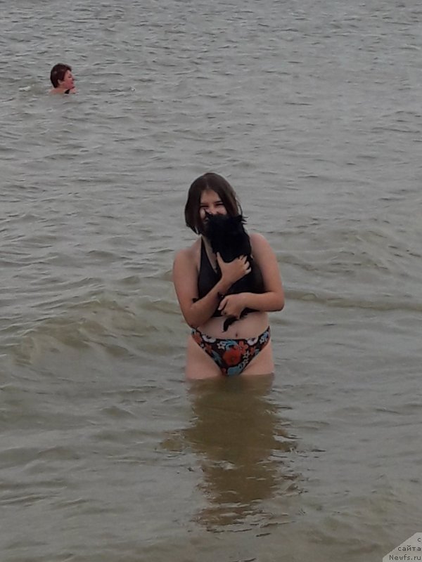 Фотография № 229440