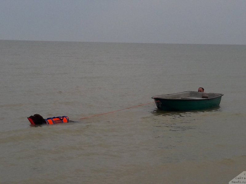 Фотография № 229444