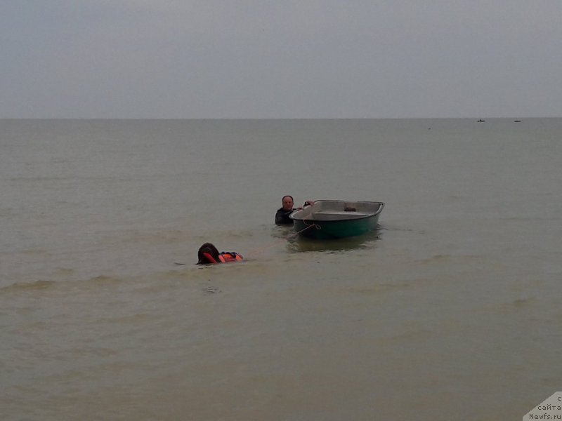 Фотография № 229445