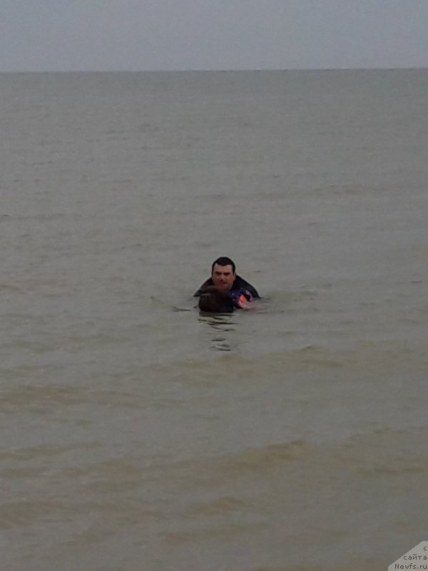 Фотография № 229448