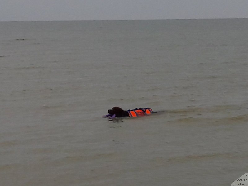 Фотография № 229450