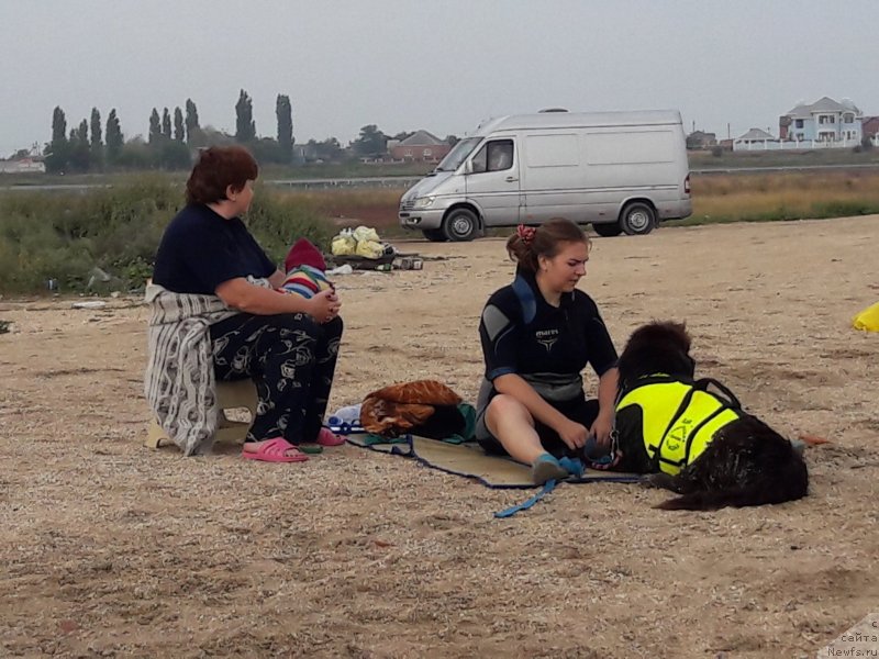 Фотография № 229453