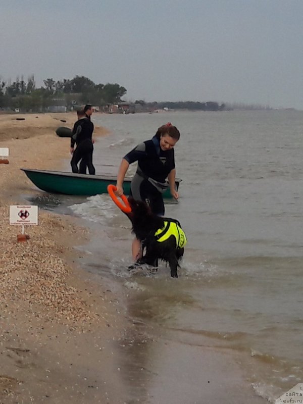 Фотография № 229455