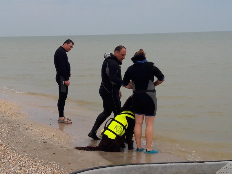 Фотография № 229456