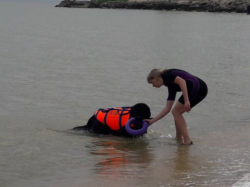 Фотография № 229457