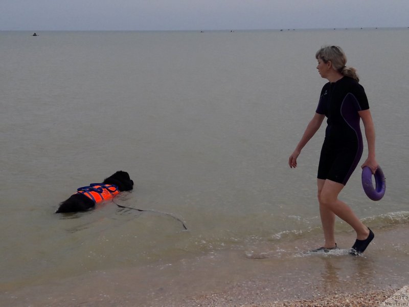 Фотография № 229458