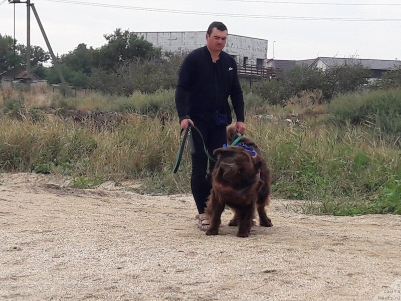 Фотография № 229459