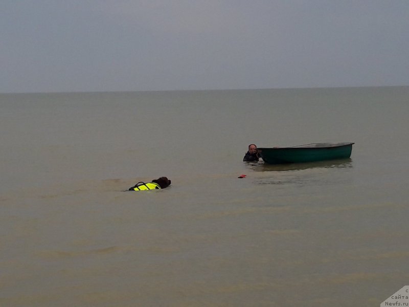 Фотография № 229461