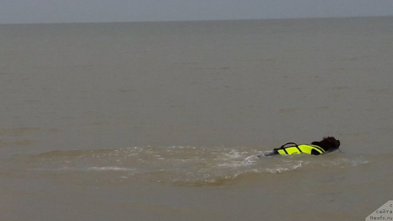 Фотография № 229462