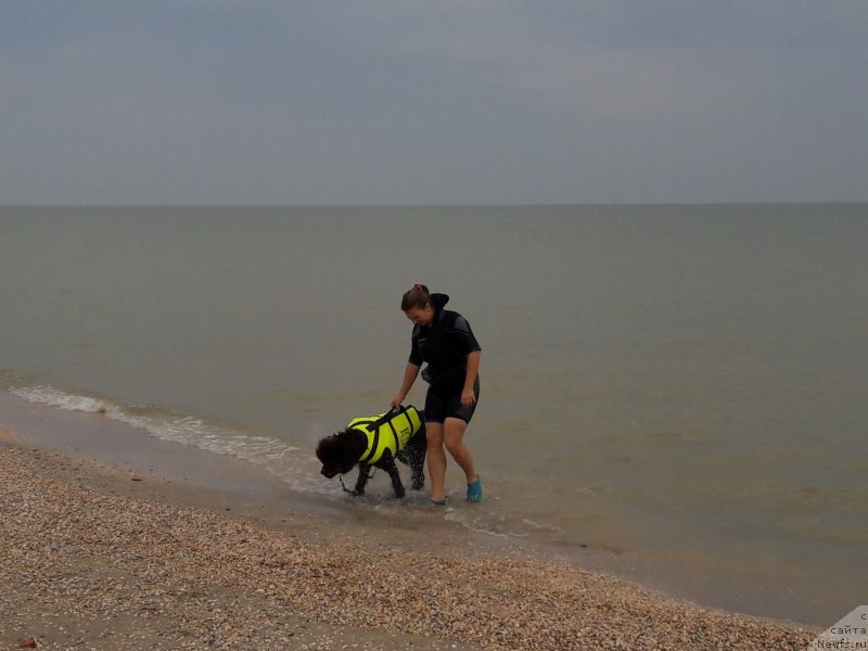 Фотография № 229464