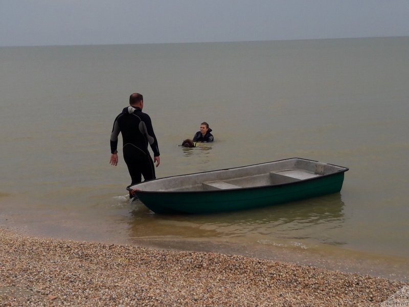 Фотография № 229465