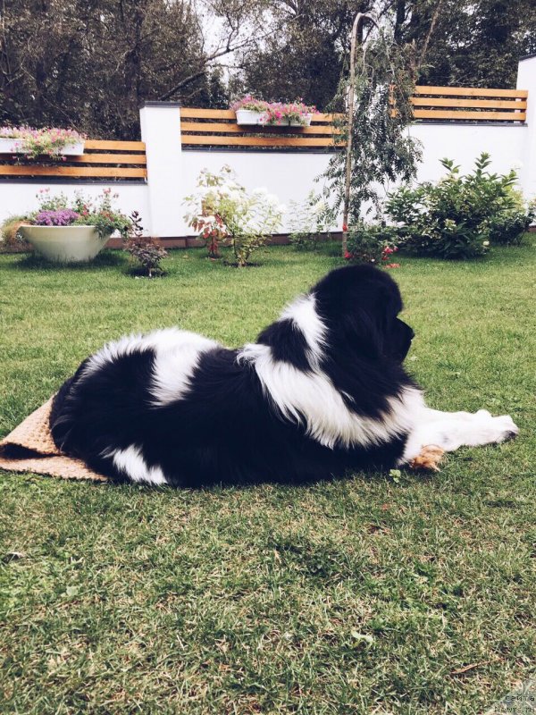 Фотография № 229507