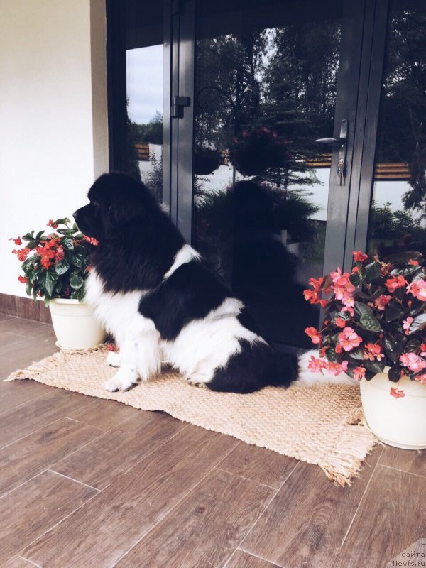 Фотография № 229508