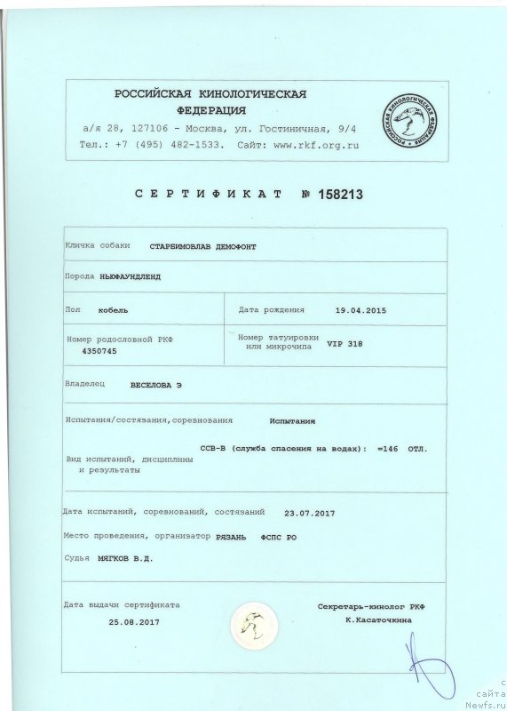 Фото: ньюфаундленд Старбимовлав Демофонт