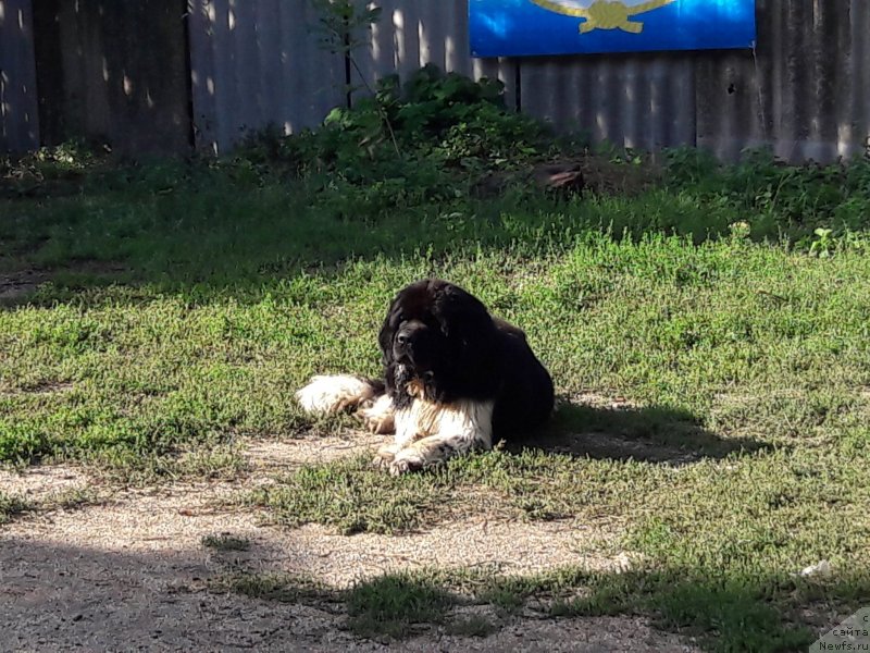 Фотография № 229556