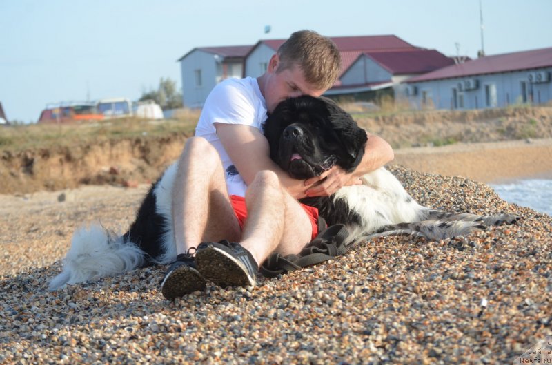 Фотография № 229570