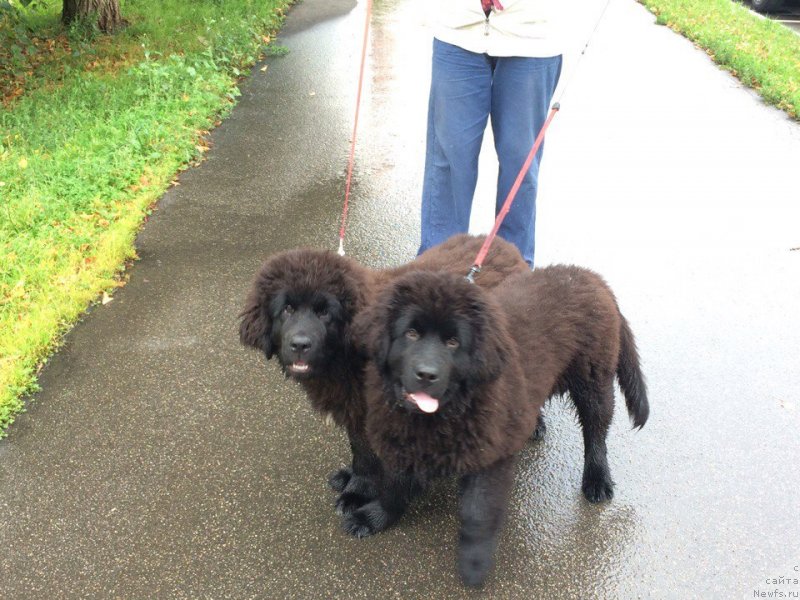 Фотография № 229576