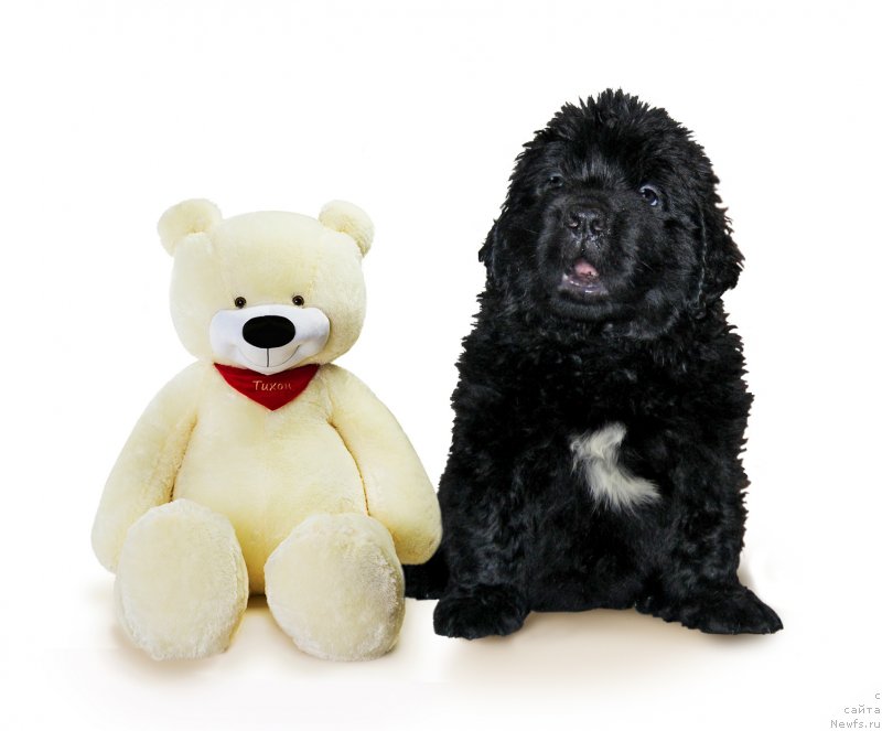 Фотография № 229601