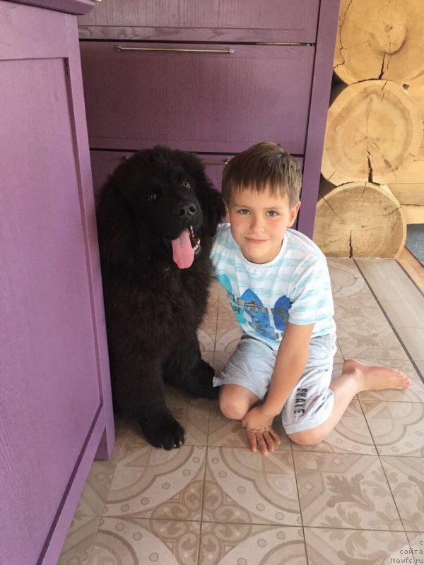 Фотография № 229612