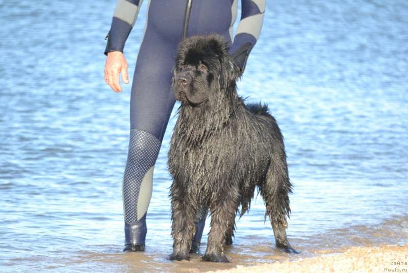 Фотография № 229626