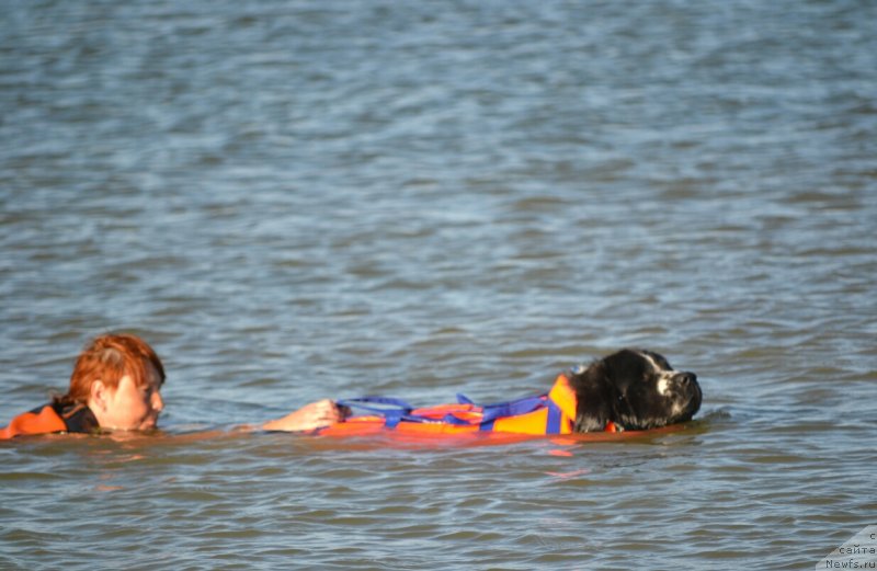 Фотография № 229630