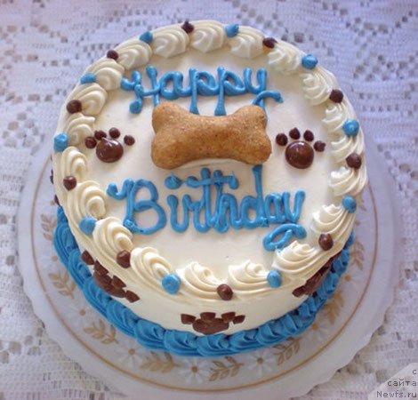 Фото: ньюфаундленд Степная Пальмира Единственный Мой