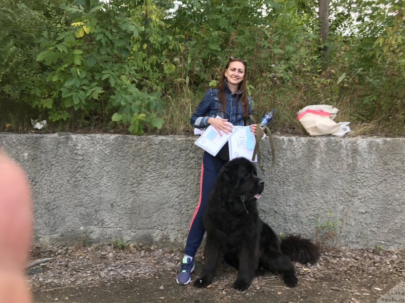 Фотография № 229645