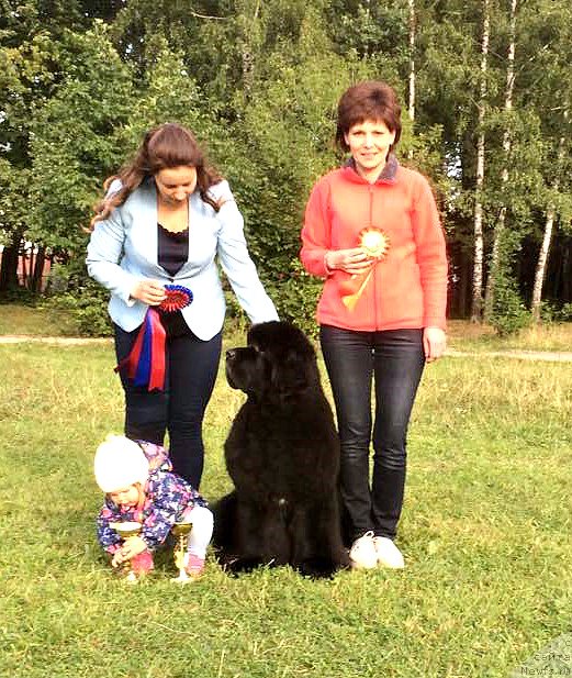 Фотография № 229648