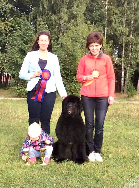 Фото: ньюфаундленд Смигар Танго ин зе Найт (Smigar Tango in the Night), Екатерина Зайцева, Ирина Савенко