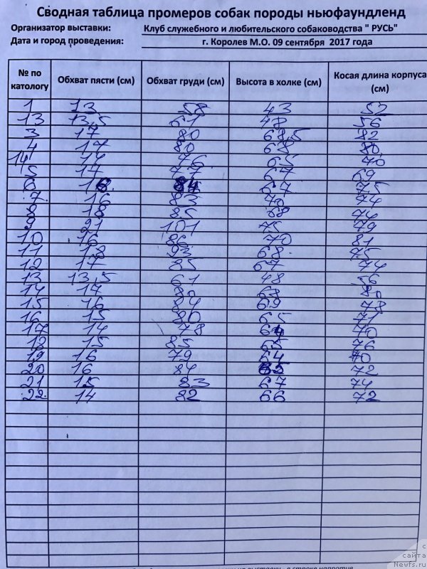 Фотография № 229660