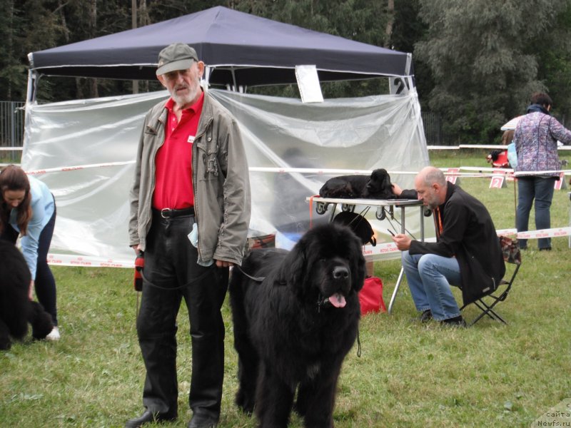 Фотография № 229661