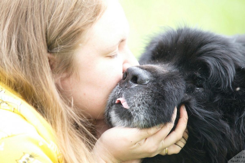 Фотография № 229664