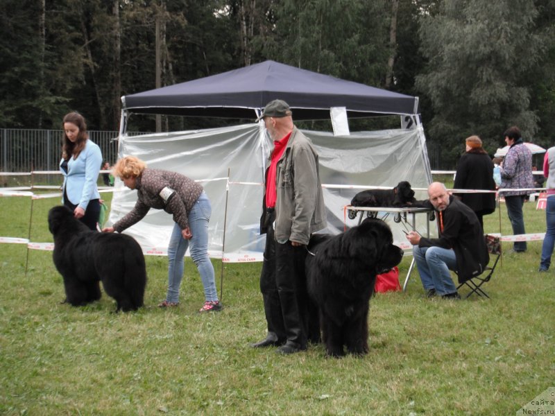 Фотография № 229697