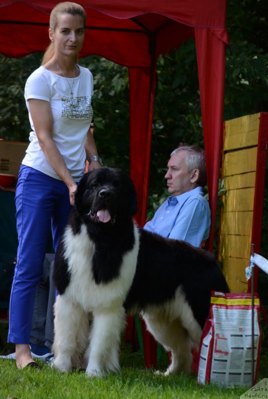 Фотография № 229700