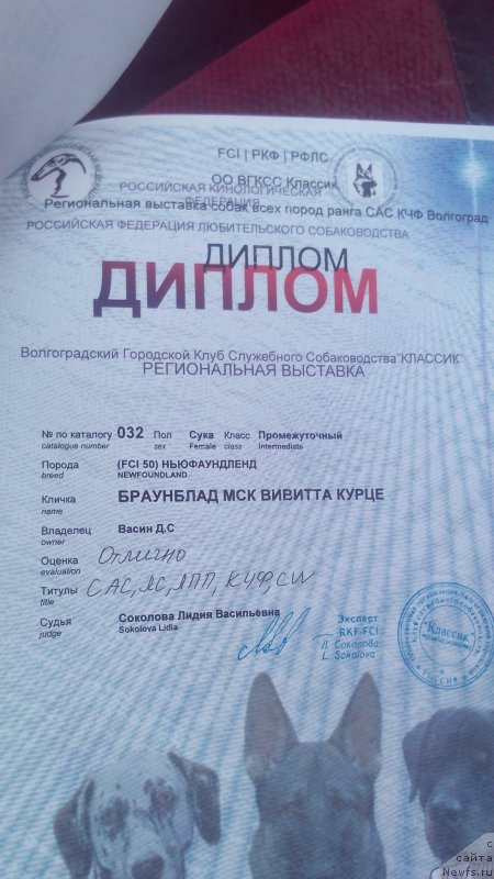 Фотография № 229708