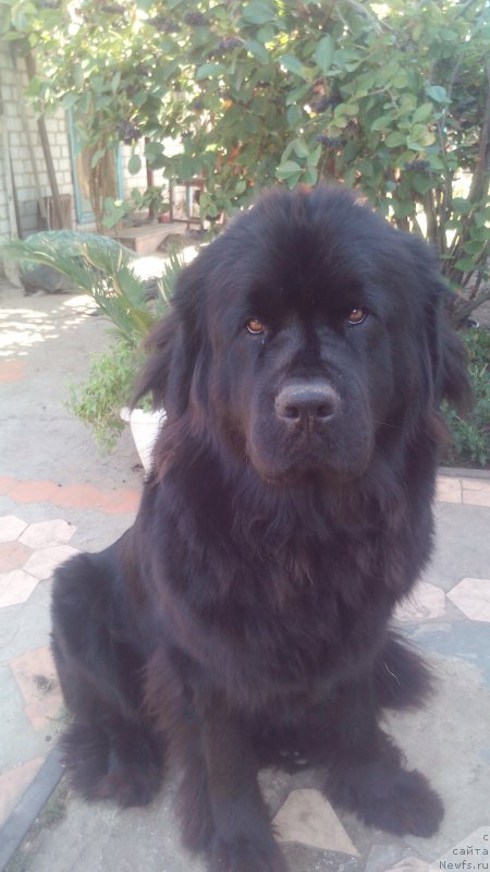 Фотография № 229709