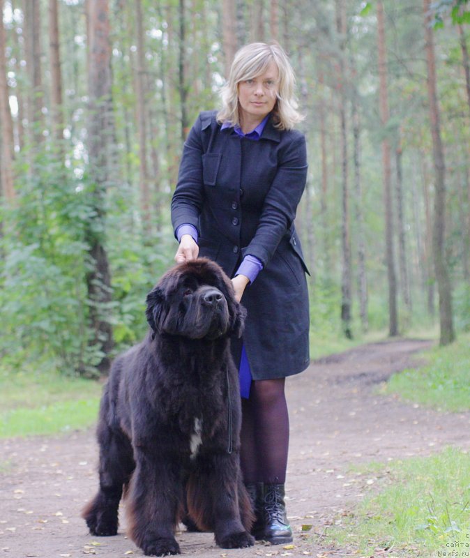 Фотография № 229710