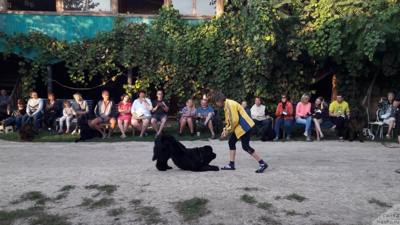 Фотография № 229714