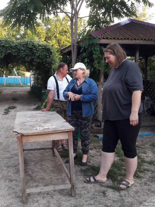 Фотография № 229716