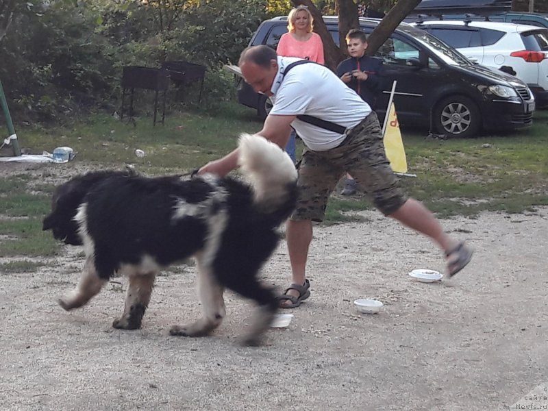 Фотография № 229719