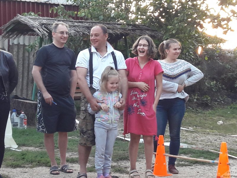 Фотография № 229721