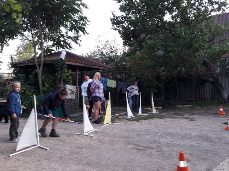 Фотография № 229722