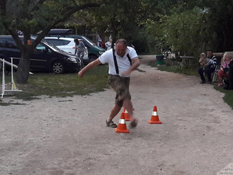 Фотография № 229724