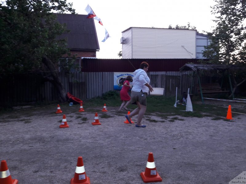 Фотография № 229726