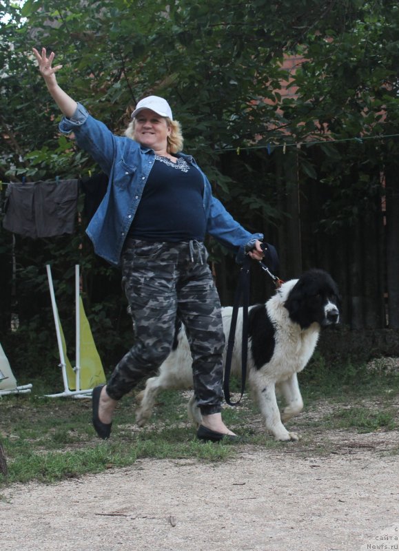 Фотография № 229727